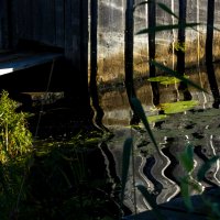 * :: Сергей Полянский