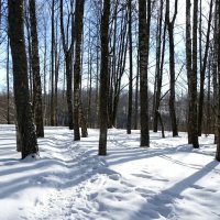 Февраль :: Милешкин Владимир Алексеевич Февраль :: Милешкин Владимир Алексеевич