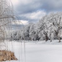Зимнее благолепие ... :: Ravile 