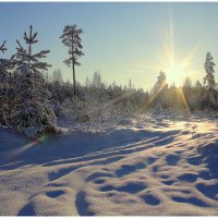 *** :: Aleksandr Gal *** :: Aleksandr Gal