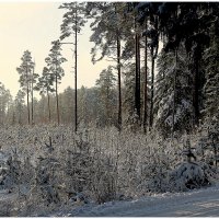 *** :: Aleksandr Gal