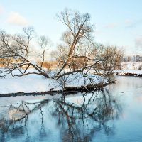 Зимнее утро :: Леонид Иванчук