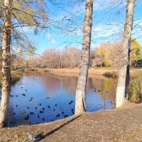 Осенний денёк :: Надежда 