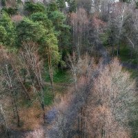 Вид на лесопарк санатория. :: Лилия * Вид на лесопарк санатория. :: Лилия *