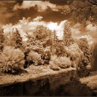 В парковой зоне... :: Николай Гирш В парковой зоне... :: Николай Гирш