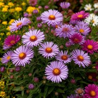 цветы :: МАРИЯ ПОПОВА