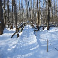 последние дни зимы :: ИННА ПОРОХОВА