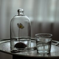 Пасмурным днём :: Кулишев Николай 