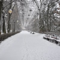 Зимний сон :: Татьяна Машошина