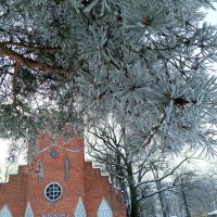 Изморозь :: Сапсан 