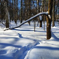 Накануне весны :: Андрей Лукьянов