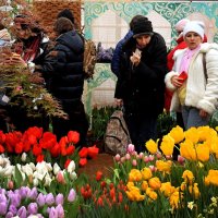 Весна в Аптекарском огороде. :: Татьяна Помогалова