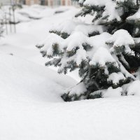 Февраль снежный :: Валерий Иванович