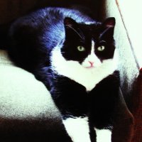 Я отдыхаю :: Людмила Смородинская