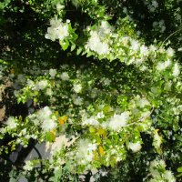 Мармарис  июнь  Турция :: Елена Шаламова