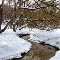 Природа в конце зимы. :: Милешкин Владимир Алексеевич 