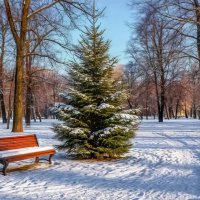 Зимние зарисовки ... :: Ravile Зимние зарисовки ... :: Ravile