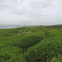 Вид с мыса Кузнецова :: ИРЭН@ .