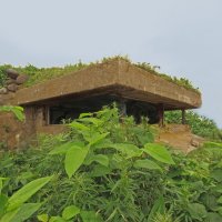 Японский ДОТ за мысом Кузнецова. Сахалин. :: ИРЭН@ .