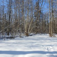 зимние пейзажи :: ИННА ПОРОХОВА