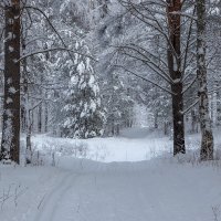 *** :: Андрей Дурапов