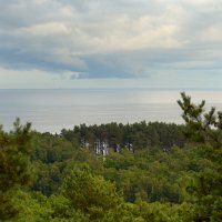 Куршский залив. :: Константин Белоногов