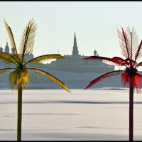 "В песчаных краях аравийской земли ..." :: **** vedin