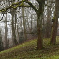 Туманный день :: Юрий. Шмаков