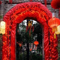 В оранжереи Аптекарского Китайский Новый год. :: Татьяна Помогалова