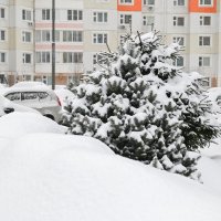Городские зарисовки :: Валерий Иванович Городские зарисовки :: Валерий Иванович