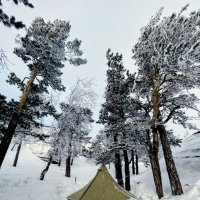 Палатки на снегу :: Георгиевич 