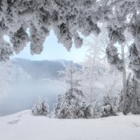 Занавес :: Марина Фомина.