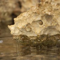 Красивое :: Олег Денисов