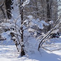 Снег, снежок... :: Рита Симонова Снег, снежок... :: Рита Симонова