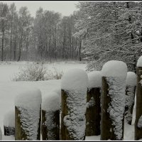 После снегопада :: Aleksandr Gal