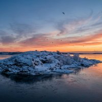 Предзимье  в Ладоге :: Ольга Cоломатина
