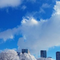 Ещё зима :: Тамара Вебер