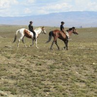 Для тувинца конь символ свободы :: Galaelina *** Для тувинца конь символ свободы :: Galaelina ***