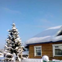 ЖУРАВЛЕВО :: Tata Wolf