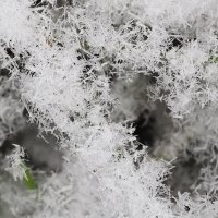 Изморозь с увеличением :: Мария К.