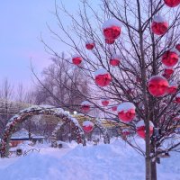 ...зимний сад.. :: Георгий Никонов