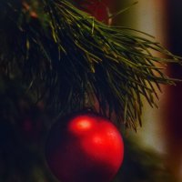 *****2 :: Георгий Никонов