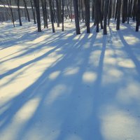 сетка теней :: Лера 