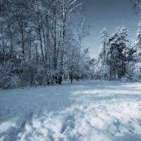 **** :: Наталья Лакомова