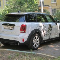 Мы все здесь безумны :: Дмитрий Никитин