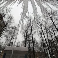 НЕВЕСНА :: Юрий Вовк