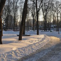 Хочется запомнить этот снежный февраль :: Татьяна Машошина