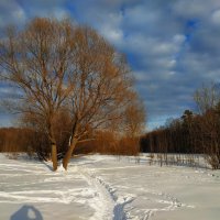 Фотография  - чтобы легче было вспомнить (это 2024!) :: Андрей Лукьянов