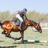 Конкур :: SanSan 