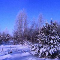 Красота :: Людмила Смородинская